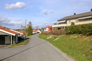 Våler i Østfold Augerødneset 250428.jpg