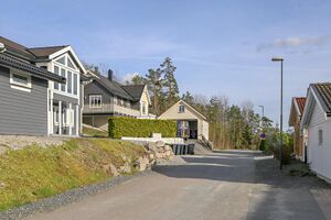 Våler i Østfold Røedåsen 250428.jpg