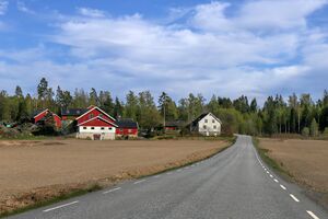 Våler i Østfold Sånerveien 250505.jpg