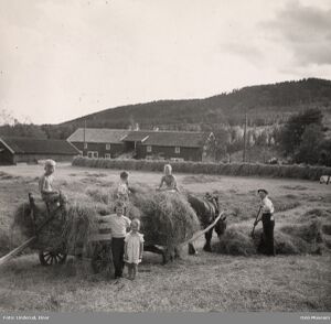 Vaggestein øvre.jpg