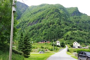 Valsvik krins.jpg