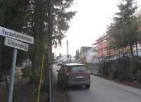 Strekningen fra Linjeveien til Høybråtenveien, her avbilda i 2014, skifta i 2021 navn til Tomines vei.