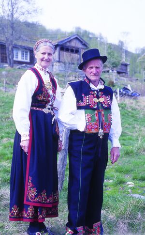 Vatnedalen 47.jpg