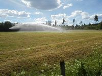 Vatning av voll på Lunda i juni 2016.