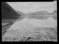 3. Veblungsnes - no-nb digifoto 20150219 00147 NB MIT FNR 16485.jpg