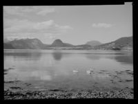 12. Veblungsnes - no-nb digifoto 20150219 00200 NB MIT FNR 16532.jpg