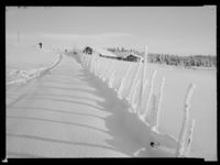 21. Ved Austlid - no-nb digifoto 20150205 00059 NB MIT FNR 15716.jpg