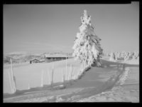 28. Ved Austlid Fjellstue - no-nb digifoto 20150205 00057 NB MIT FNR 15706 B.jpg