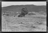 173. Ved Bodø omegn - no-nb digifoto 20151009 00096 NB MIT FNR 05125.jpg