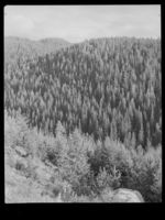 29. Ved Gol - no-nb digifoto 20150206 00101 NB MIT FNR 18974.jpg