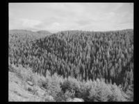 22. Ved Gol - no-nb digifoto 20150206 00102 NB MIT FNR 18973.jpg