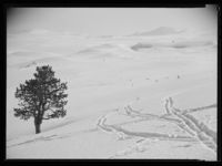 117. Ved Høvringen mot Smiubæljen - no-nb digifoto 20150206 00068 NB MIT FNR 15933.jpg