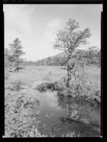 125. Ved Lesjaskog med Døntind - no-nb digifoto 20150219 00168 NB MIT FNR 16444.jpg