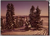 39. Ved Oset Hotel, Gol. - no-nb digifoto 20160511 00308 NB NKF P 04 07 033.jpg