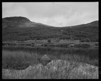 12. Ved Sortland - no-nb digifoto 20151125 00065 NB MIT FNR 08984A.jpg