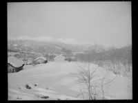 30. Ved Tresfjord - no-nb digifoto 20150205 00145 NB MIT FNR 15773.jpg