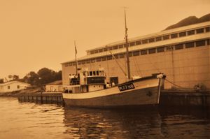 Ved sildoljefabrikken.jpg