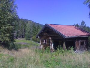Vedskjulet på Gorudvollen (Be-2007-08-23o).jpg