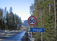 4. Veggli i Numedal.jpg