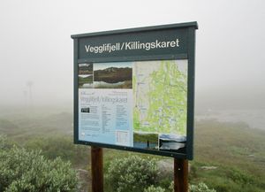 Vegglifjell Killingskaret juni 2016.jpg