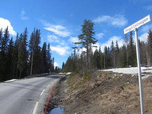Vegglifjellvegen Veggli 2014.jpg