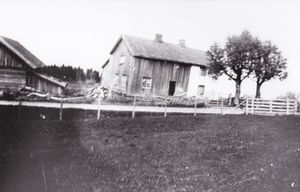 Veltstuggua Blikset.jpg