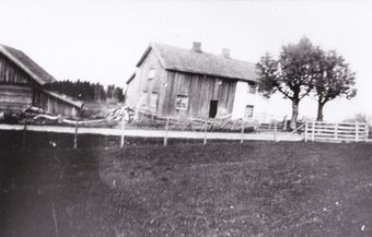 Veltstuggua Blikset.jpg