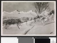 1. Vengedalen, Rauma kommune, Møre og Romsdal - no-nb digifoto 20150126 00076 blds 07192.jpg