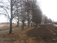 1. Venjarvegen (Eidsvoll) 2.jpg