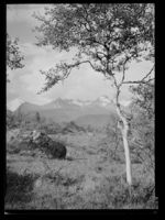 21. Venjedalen - no-nb digifoto 20150219 00169 NB MIT FNR 16472.jpg