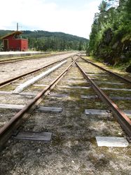 Sporet mot Grovane stasjon i 2014. Foto: Siri Johannessen