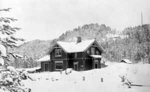 Vennesla jernbanestasjon - no-nb digifoto 20140407 00031 bldsa FA0157-b.jpg