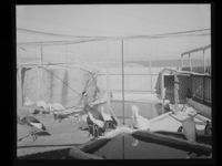 31. Verdens Ende - no-nb digifoto 20150102 00096 NB MIT FNR 21046.jpg