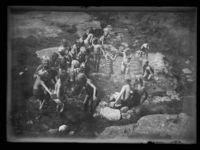 Foto: Narve Skarpmoen.