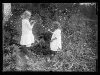 Foto: Narve Skarpmoen.