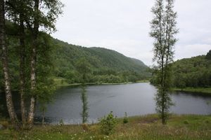 Vermedalsvatnet i Uggdalsdalen.JPG