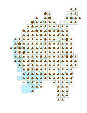 Veronica chamaedrys.png