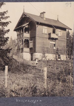 Vesleborgen 1919.jpg