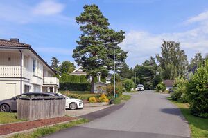 Vestby Brevikmyra 250712.jpg