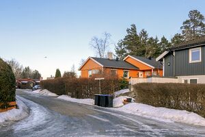 Vestby Jomfru Winthers vei 240205.jpg