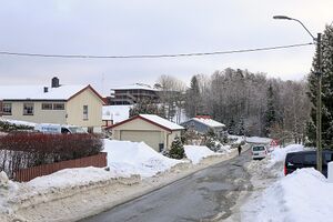 Vestby Måneveien 240219.jpg