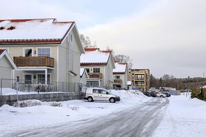 Vestby Vangjordet 240219.jpg