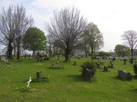 Kirkegården ved Vestby kirke. Foto: Stig Rune Pedersen