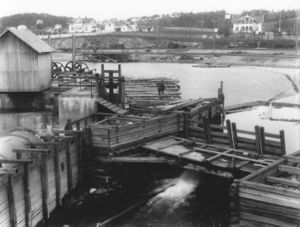 Vestfos cellulose (oeb-194241).jpg