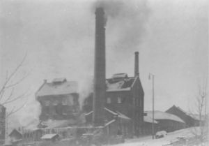 Vestfos cellulose (oeb-249446).jpg