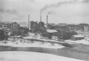 Vestfos cellulose (oeb-249451).jpg