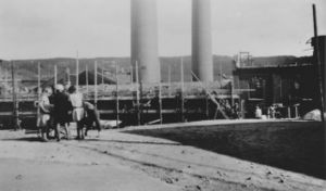 Vestfos cellulose (oeb-249723).jpg