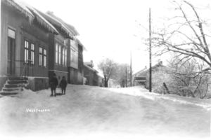 Vestfossen (sf0044).jpeg