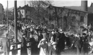 Vestfossen (sf0073).jpeg