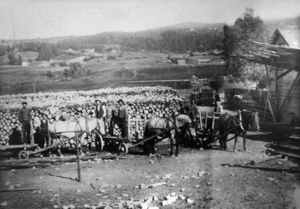 Vestfossen (sf0154).jpeg